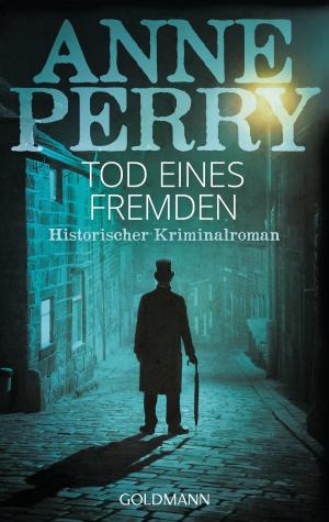 Cover of the book Tod eines Fremden by Ian Kerner