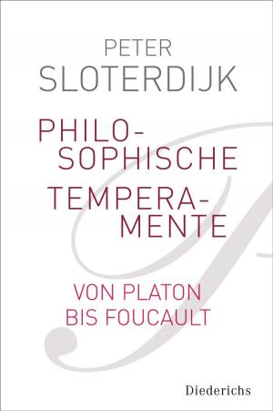Book cover of Philosophische Temperamente