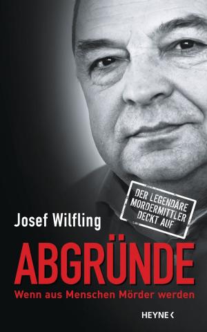 Book cover of Abgründe