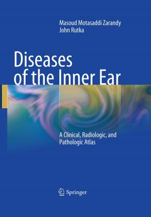 Cover of the book Diseases of the Inner Ear by Hans Konrad Biesalski, Joachim von Braun