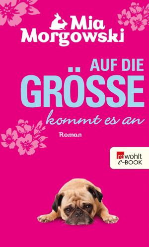Cover of the book Auf die Größe kommt es an by Jan Seghers
