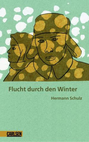 Book cover of Flucht durch den Winter