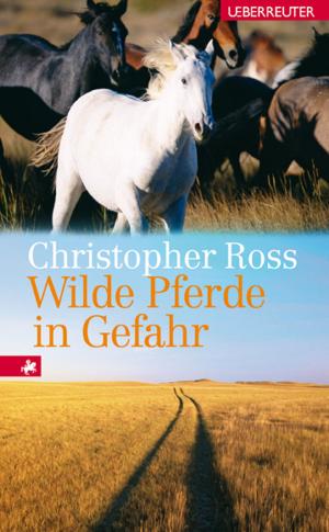 Cover of the book Wilde Pferde in Gefahr by Wolfgang Hohlbein, Heike Hohlbein