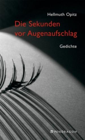 Book cover of Die Sekunden vor Augenaufschlag