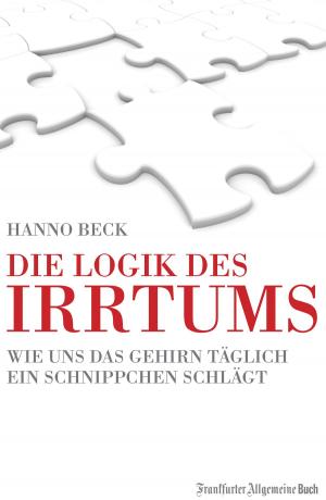 Cover of the book Die Logik des Irrtums by Hanspeter Lanz, Angelika Schaeuffelen