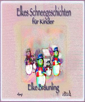 Cover of the book Elkes Schneegeschichten für Kinder by Elke Bräunling
