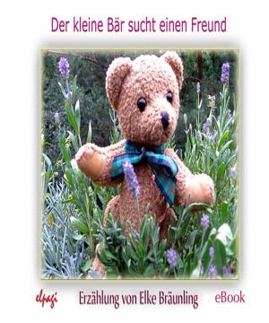 Cover of the book Der kleine Bär sucht einen Freund by Stephen Janetzko, Stephen Janetzko