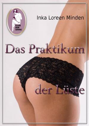 Cover of the book Das Praktikum der Lüste by Benjamin Larus