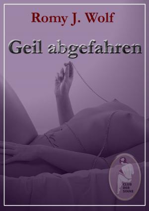 Cover of the book Geil abgefahren by Kristel Kane