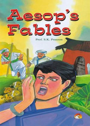 Cover of the book Aesop's Fables by DR.AMIT ABRAHAM