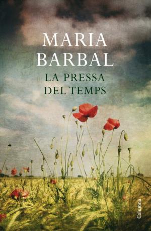 Cover of the book La pressa del temps by David Cirici