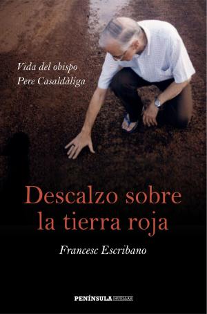 Cover of the book Descalzo sobre la tierra roja by Alejandro Hernández