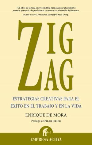 Cover of the book Zigzag by Julio Wallovits, Pau Virgili