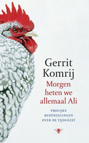Cover of the book Morgen heten we allemaal Ali by Marten Toonder