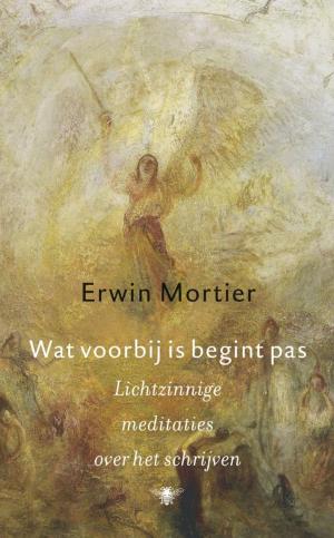 Cover of the book Wat voorbij is begint pas by Beppe Fenoglio