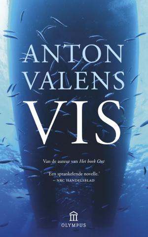 Cover of the book Vis by Arjen van Veelen
