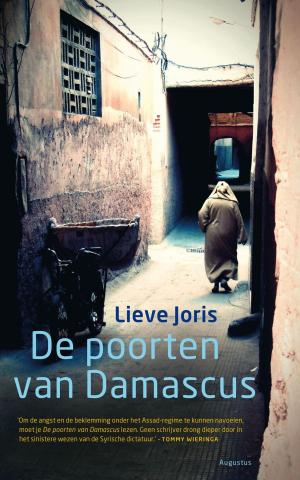 Book cover of De poorten van Damascus