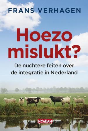 Cover of the book Hoezo mislukt? by Pieter Jouke, Michiel Peereboom
