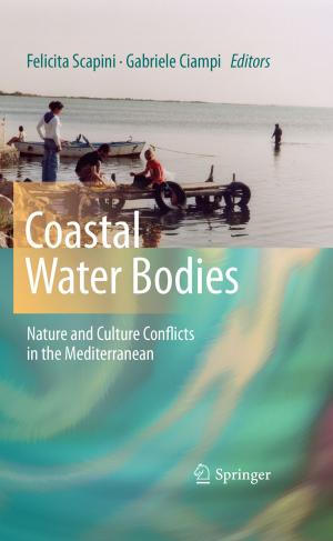 Cover of the book Coastal Water Bodies by Arkady Tsinober
