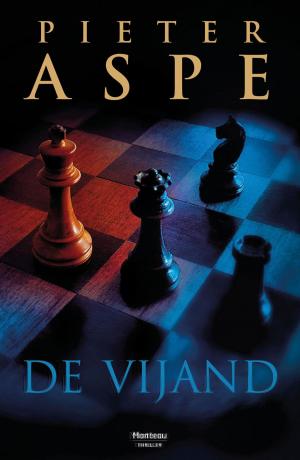 Cover of the book De vijand by Paul Harland