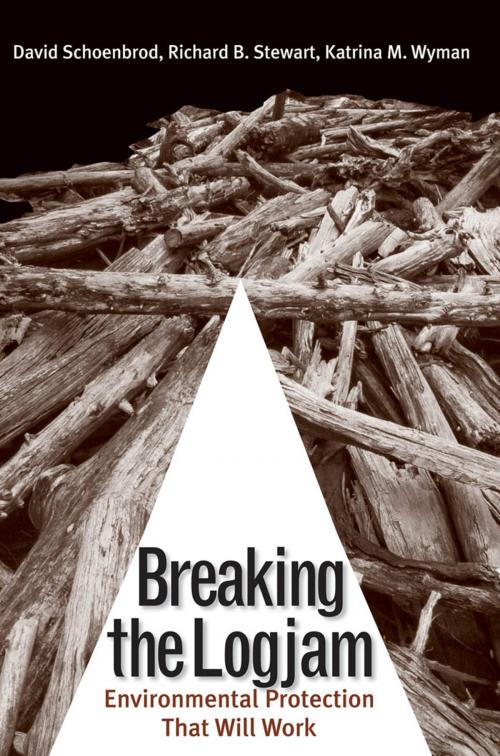 Cover of the book Breaking the Logjam by Professor David Schoenbrod, Richard B. Stewart, Katrina M. Wyman, Yale University Press