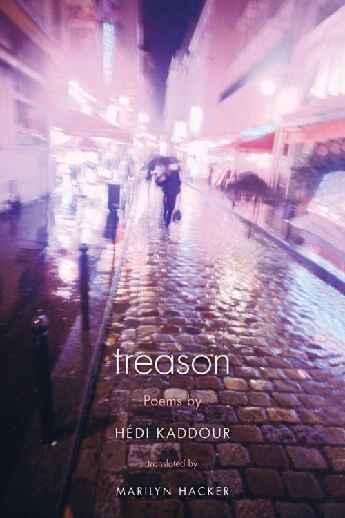 Cover of the book Treason by Hedi Kaddour, Yale University Press