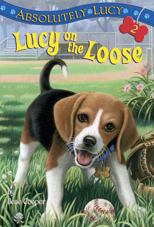 Cover of the book Absolutely Lucy #2: Lucy on the Loose by Ilene Cooper, Random House Children's Books