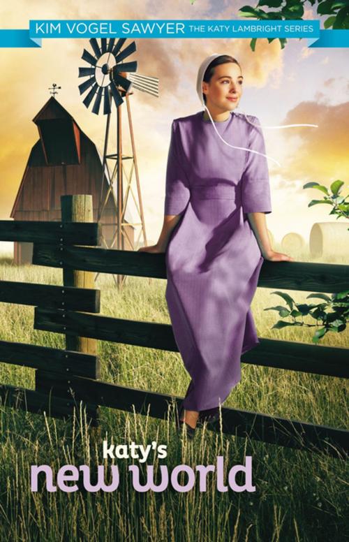 Cover of the book Katy's New World by Kim Vogel Sawyer, Zondervan