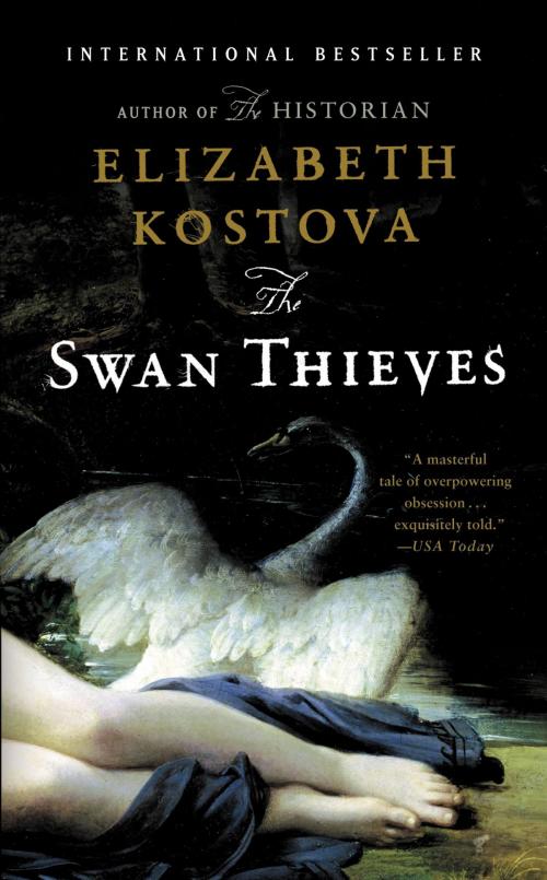 Cover of the book The Swan Thieves by Elizabeth Kostova, Little, Brown and Company