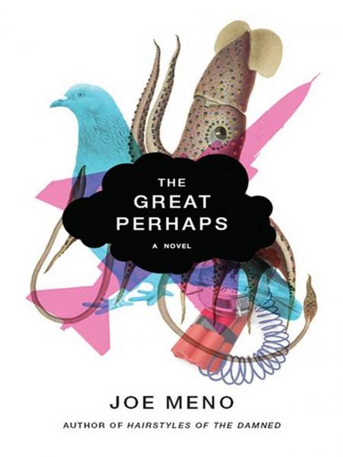 Cover of the book The Great Perhaps: A Novel by Joe Meno, W. W. Norton & Company