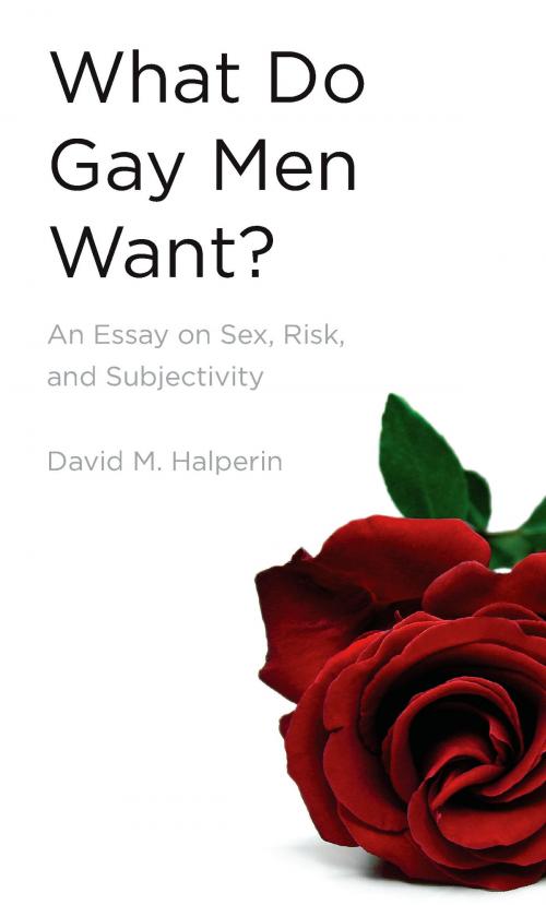 Cover of the book What Do Gay Men Want? by David Halperin, University of Michigan Press