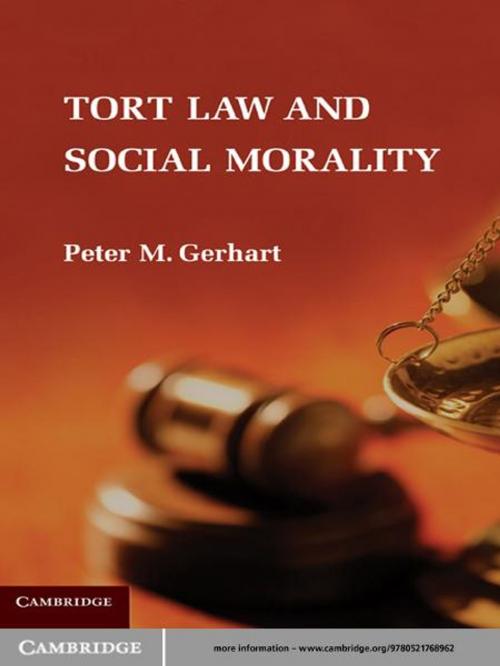 Cover of the book Tort Law and Social Morality by Peter M. Gerhart, Cambridge University Press