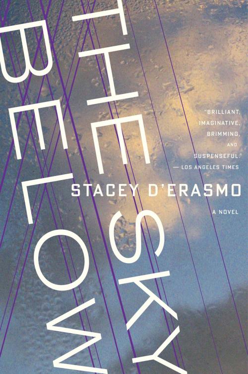 Cover of the book The Sky Below by Stacey D'Erasmo, HMH Books