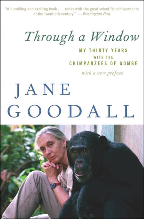 Cover of the book Through a Window by Jane Goodall, Houghton Mifflin Harcourt