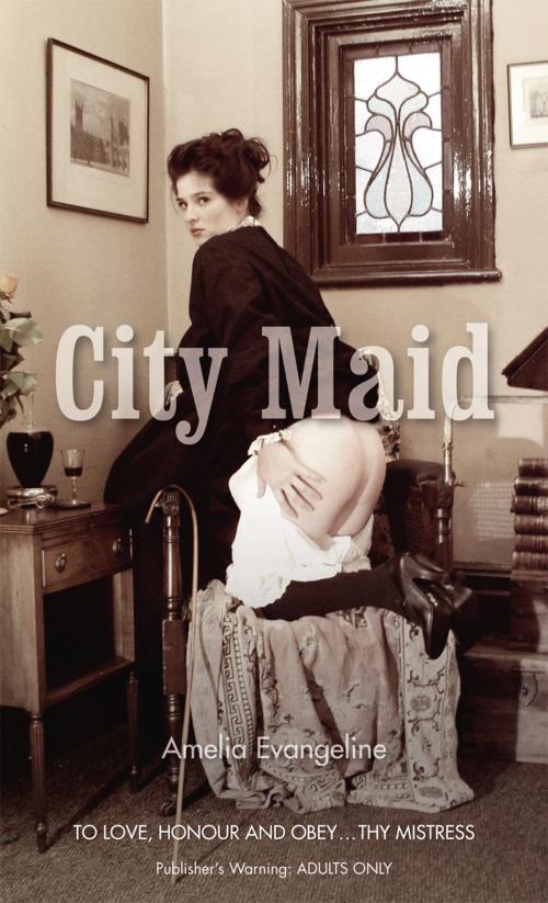 Cover of the book City Maid by Amelia Evangeline, Ebury Publishing