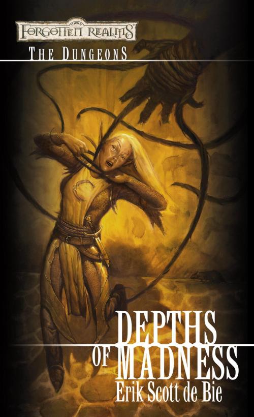 Cover of the book Depths of Madness by Erik Scott De Bie, Wizards of the Coast Publishing