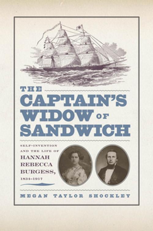 Cover of the book The Captain’s Widow of Sandwich by Megan  Taylor Shockley, NYU Press