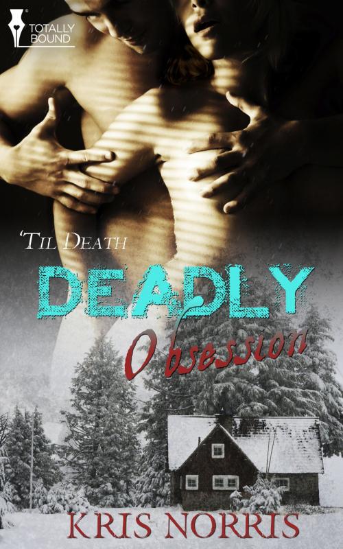 Cover of the book Deadly Obsession by Kris Norris, Totally Entwined Group Ltd