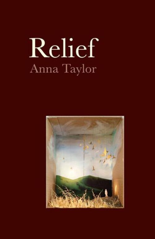Cover of the book Relief by Anna Taylor, Victoria University Press