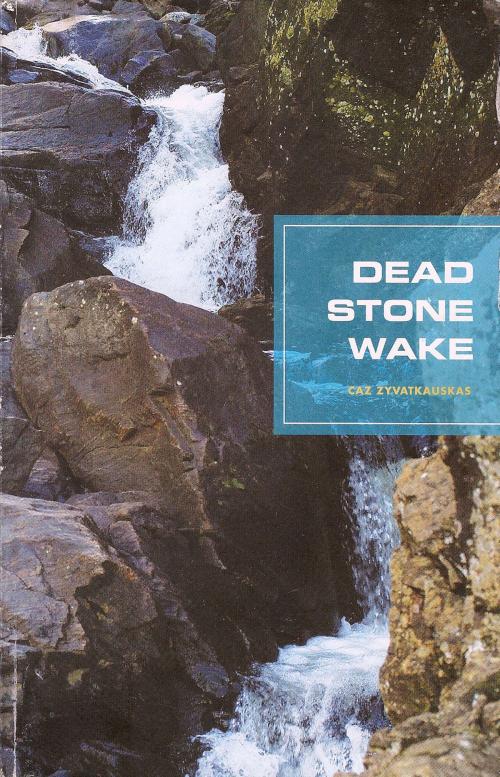 Cover of the book Dead Stone Wake by Caz Zyvatkauskas, Caz Zyvatkauskas