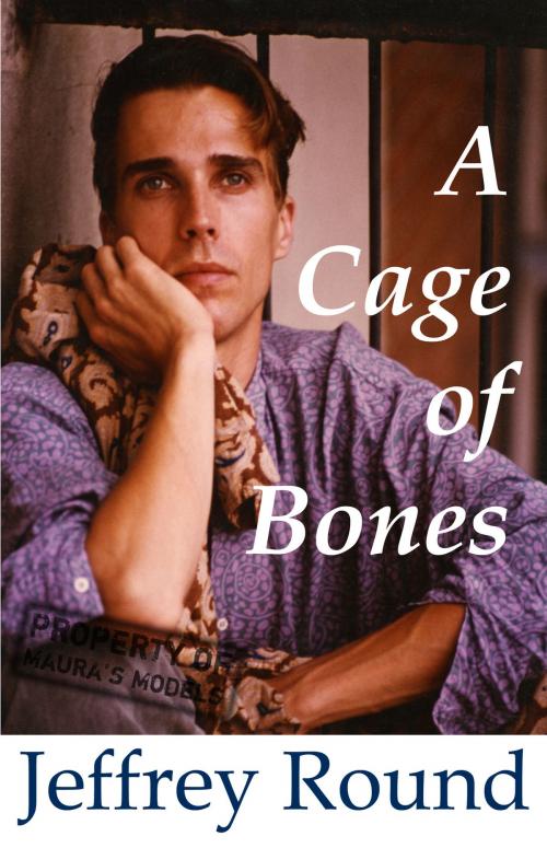 Cover of the book A Cage of Bones by Jeffrey Round, Jeffrey Round