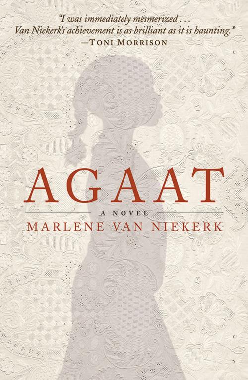Cover of the book Agaat by Marlene Van Niekerk, Tin House Books