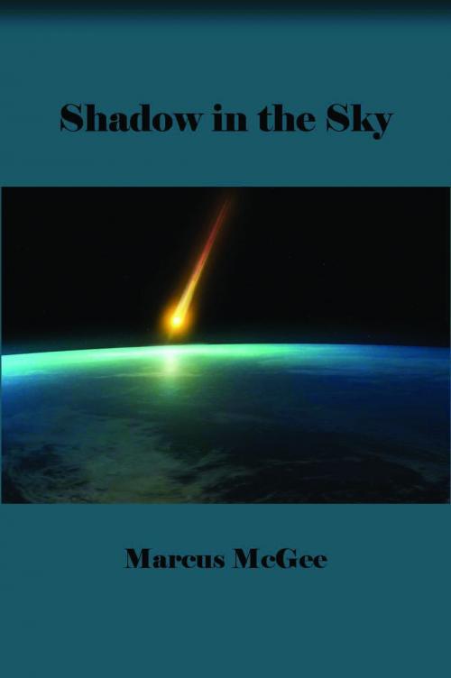 Cover of the book Shadow In The Sky by Marcus McGee, Pegasus Books