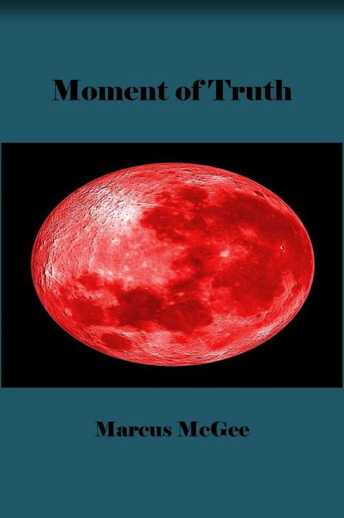 Cover of the book Moment of Truth by Marcus McGee, Pegasus Books