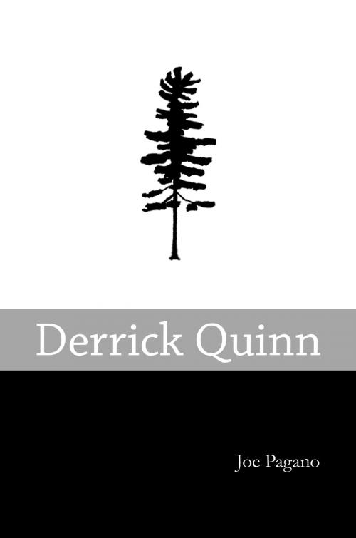 Cover of the book Derrick Quinn by Joe Pagano, Daka Daka Publishing