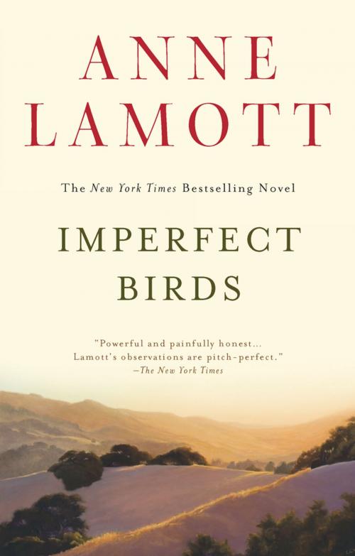 Cover of the book Imperfect Birds by Anne Lamott, Penguin Publishing Group