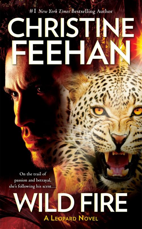 Cover of the book Wild Fire by Christine Feehan, Penguin Publishing Group