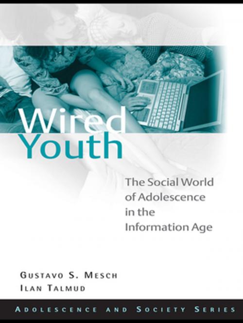 Cover of the book Wired Youth by Gustavo Mesch, Ilan Talmud, Taylor and Francis