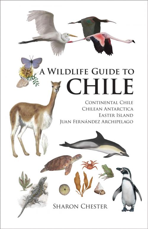 Cover of the book A Wildlife Guide to Chile by Sharon Chester, Princeton University Press