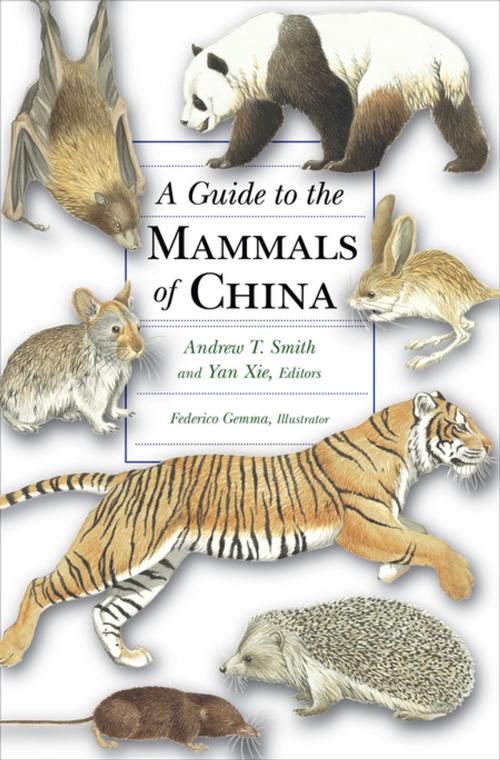 Cover of the book A Guide to the Mammals of China by , Princeton University Press